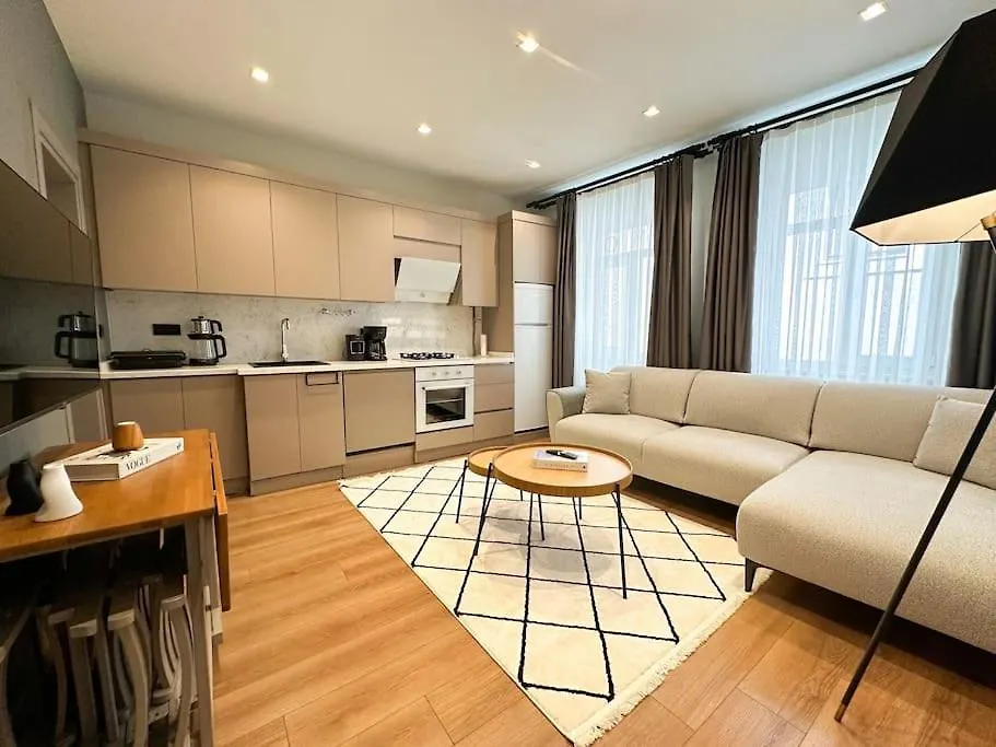 Sahin Pera Suit2 Great Location 2 Bedroom Air-Conditioned Apartment Stambuł 0*,